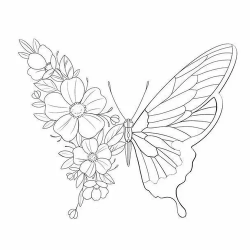 طراحی پروانه