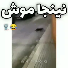 این منم😂