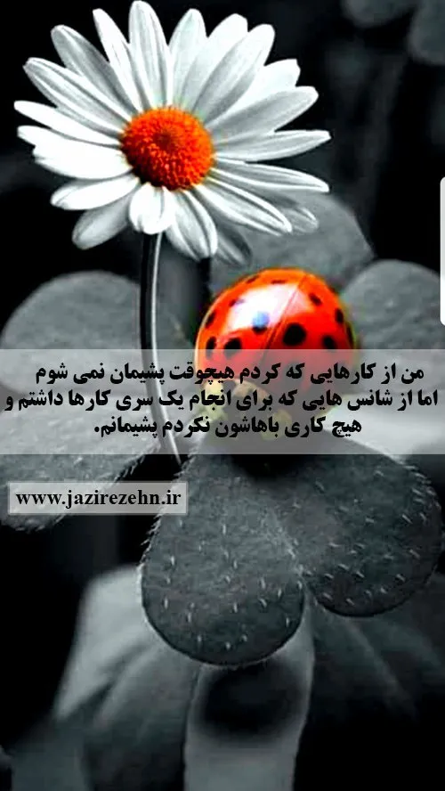 📌 من از کارهایی که کردم هیچ وقت پشیمان نمی شوم؛