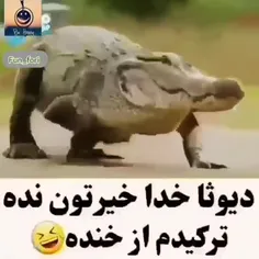 تکراری ولی جالب