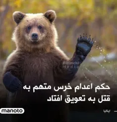 یه #خرس رو میخوان به جرم #قتل #اعدام کنن!