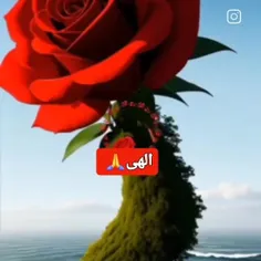 سلام صبحتون بخیر 