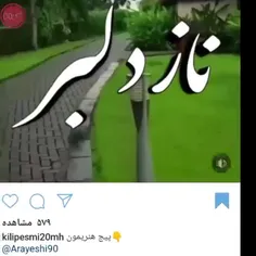 تقدیم به دلبرم.