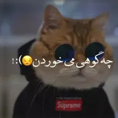 خو راس میگع به ما چه 