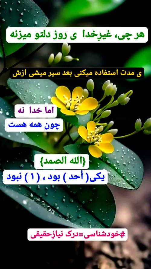 خودشناسی