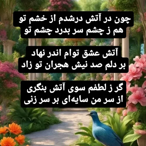  nimataban62 68352089 - عکس ویسگون