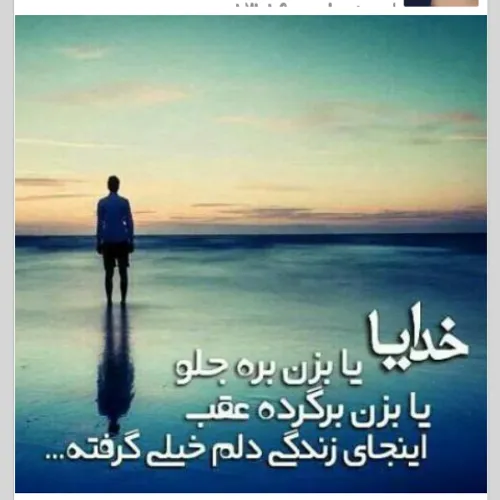 فقط همین