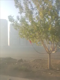 مه امروز صبح اصفهان