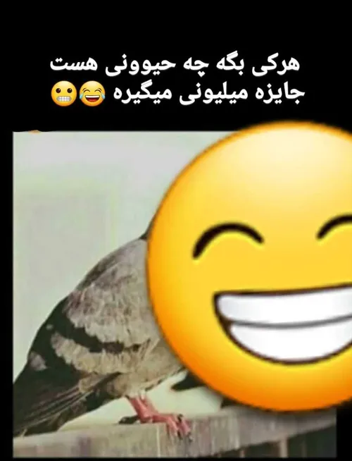 جواب بدین😄🌸 smile طنز