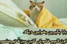 مگه نمیشنوین چی میگه برین بخوابین دیگه😸 😸