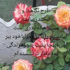 عاشقانه ناب