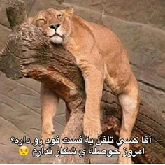 خخخخخ