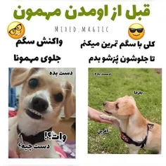 این بده/:!😂😔