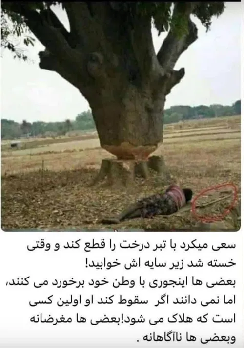 💯 بعضی اینجوی با وطن برخورد می کنند...