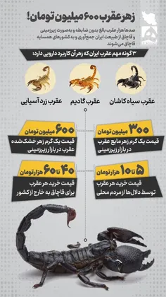 زهر عقرب چند؟ 