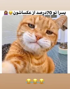 پسرا تو ۷۰ درصد عکساشون...