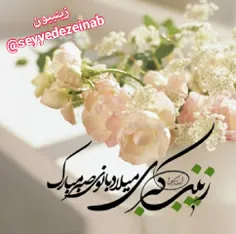 🎀🍃#زیــنـبـیــــون🍃🎀