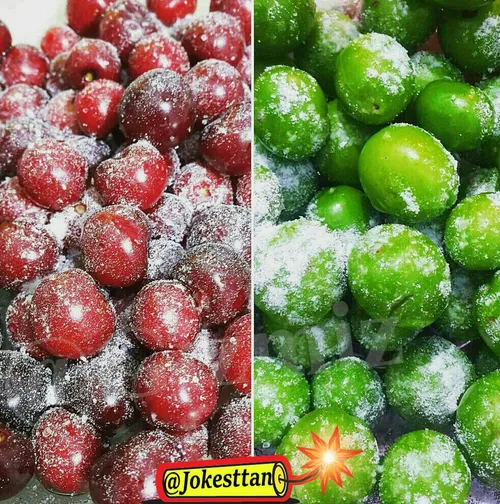 چند ماه دیگه از راه میرند😋 😋 😋 😋 😋