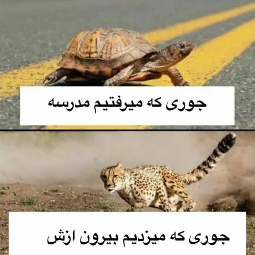 حق تر از این؟ 😂