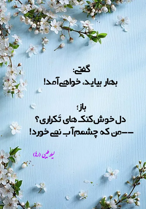 لیلاطیبی