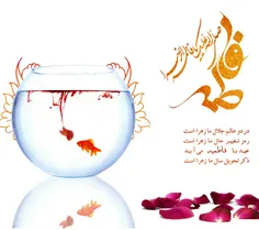 #یامهدی_ادرکنی