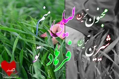 #عکس_نوشته به نام #مجنون_ترین ، تو پیج های خودتون منتشر ک