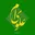 parvaze_noor