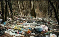 بیشعوری اینه که ما در کشور خودمون آشغال بریزیم و از تمیزی
