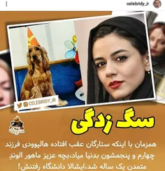 سلبریتی!!!!