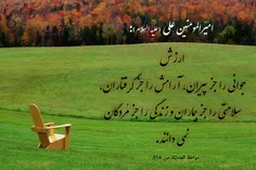 ✍  امیرالمومنین علی(ع):