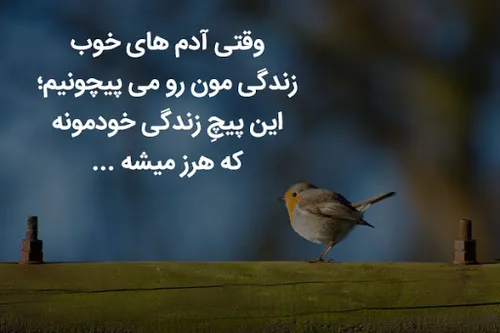 مواظب باش بخاطر کی