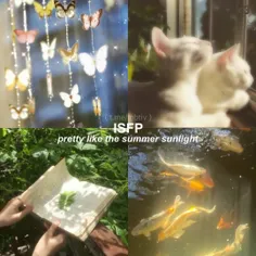 تایپ ISFP🏞🦋