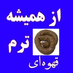 عن شدگان کییسه که دیشب منتظر باخت سرورشون بودن...بازم عن 