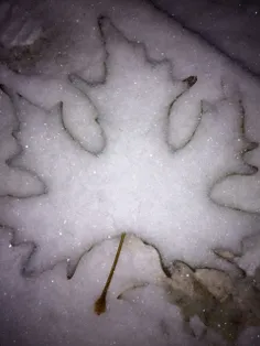 برف,ارومیه
