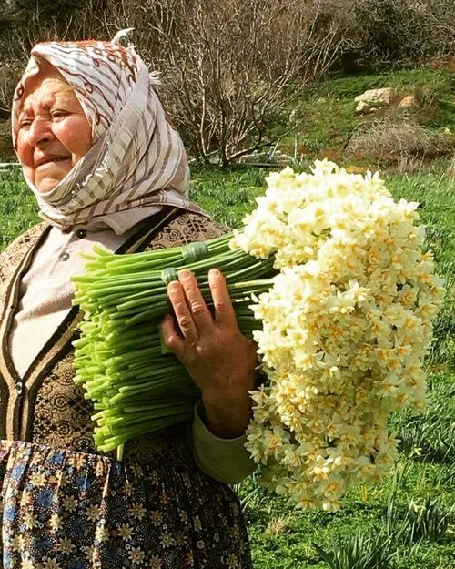 نفس باد صبا مشک فشان خواهد شد