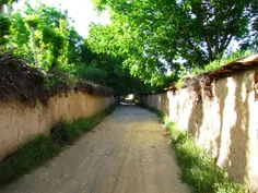 اینم کوچه باغ شیراز