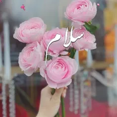 🌸سر صبحی که همه مست نم گلبرگند💕