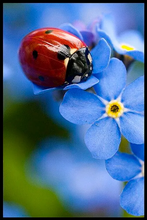 عکسهای ناب پس زمینه والپیپر رنگ رنگی قلب عشق عاشقانه