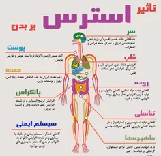 عوارض خوابیدن همراه با استرس :😴