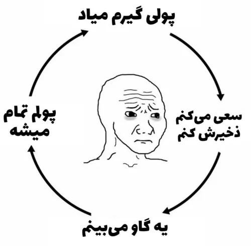 چرخه زندگی من: