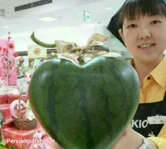 هندوانه به شکل قلب