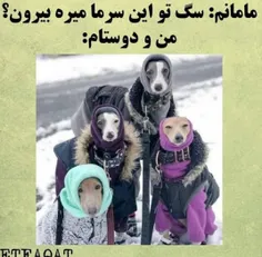 چرا ایقد من و دوسام هسیم😑😂😂😂😂