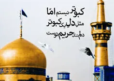 خیلی از پستا واسم سفیده