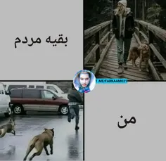 😂😂😂😂 | فرکام