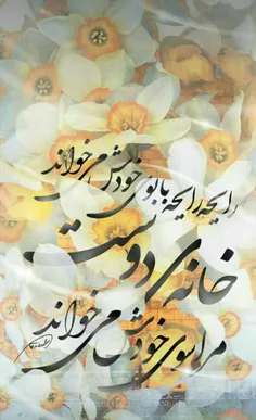 #صاحب‌الزمان #نیمه_شعبان_مبارک #یا_قائم_آل_محمد