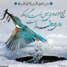 شعر و ادبیات edfggg 32448530