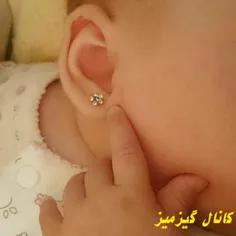 عزیزم چه نازه