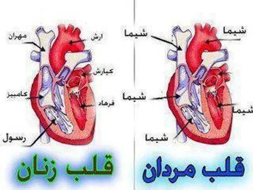 دقیقآ