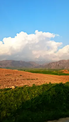 دلت اَر که بهاری بو تُم ایده...💚