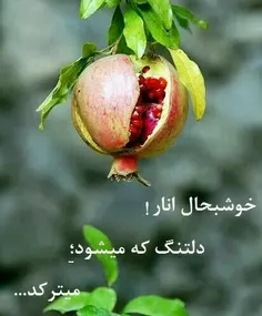 آنطور که هستی‌ باش ،....